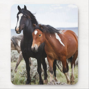 Herd van wilde paarden muismat