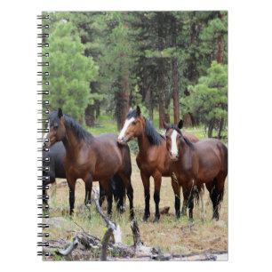 Herd van wilde paarden notitieboek