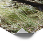 Herd van wilde paarden poster (Hoek)