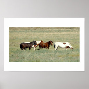 Herd van wilde paarden poster