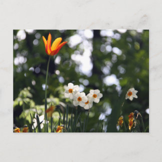 Herdenking Briefkaart