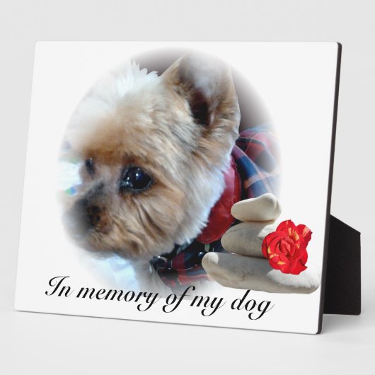 herdenking fotoplaat (Zijkant)