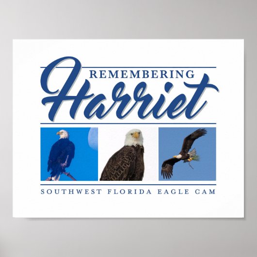 Herdenking van Harriet SWFL Eagle Cam Wall Poster (Voorkant)