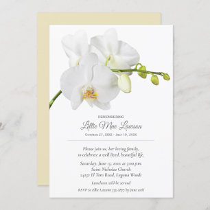 Herdenking van orchidee