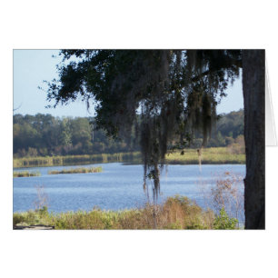 Herdenkingen van het zomerzuidelijke meer