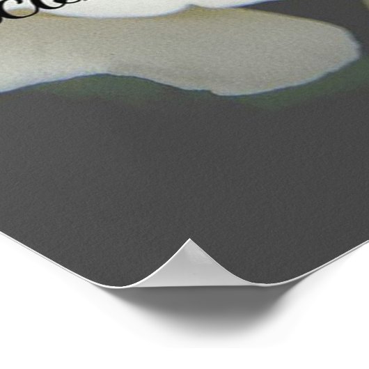 Herdenkingsbord, Vermiste u, witte roos Poster (Hoek)