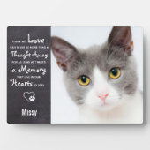 Herdenkingsfoto kattenmonument fotoplaat (voorkant)