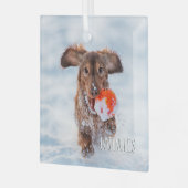 Herdenkingsfoto van Keepomwille Pet Glas Ornament (Voorkant links)
