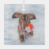 Herdenkingsfoto van Keepomwille Pet Glas Ornament (Voorkant)