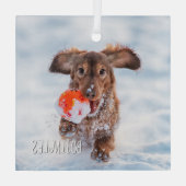 Herdenkingsfoto van Keepomwille Pet Glas Ornament (Achterkant)