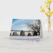 Herdenkingsmonument Dan Fogelberg in Winter Kaart (Gele Bloem)