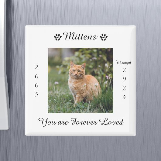 Herdenkingsmonument voor de kat magneet