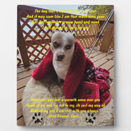 Herdenkingsplaque Fotoplaat