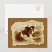 Herdershond  Sepia Tones Briefkaart (Voorkant / Achterkant)