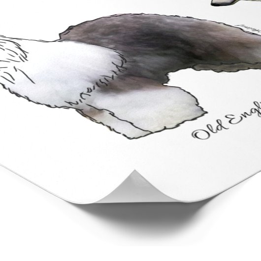 Herding Group Poster (Hoek)