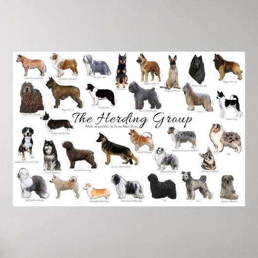 Herding Group Poster (Voorkant)