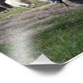 Herding Home Foto Afdruk (Hoek)