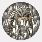 Herds van Zebras Ronde Sticker (Voorkant)