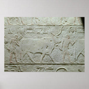 Herdsman leidt een stier poster