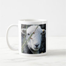 Herdwick ewe mok