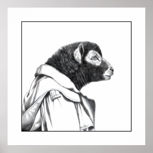 Herdwick Lamb in loopgravenjas (sneeuw) Poster (Voorkant)