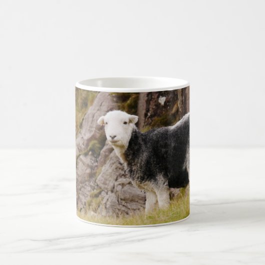 Herdwick Sheep Mug (Centre)