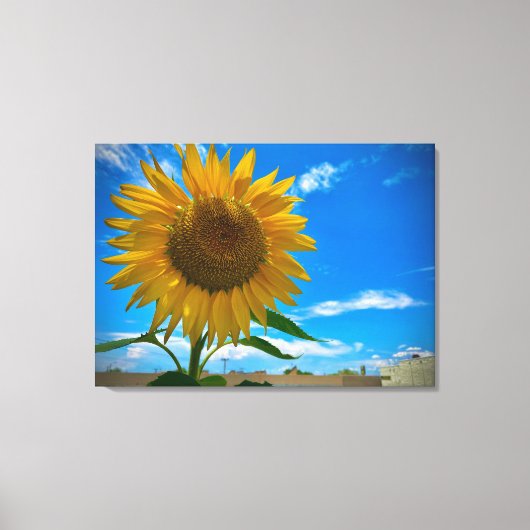 Here comes the sun canvas afdruk (Voorkant)