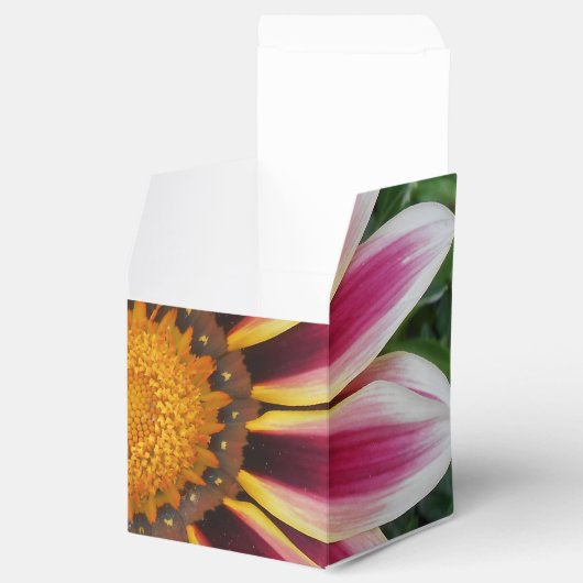 Hereford Bedankdoosjes (Geopend)