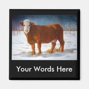HEREFORD BEEF COW: PASTEL ART MAGNEET