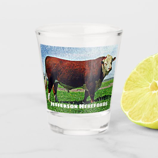 Hereford Bull Shot Glas (Voorkant)