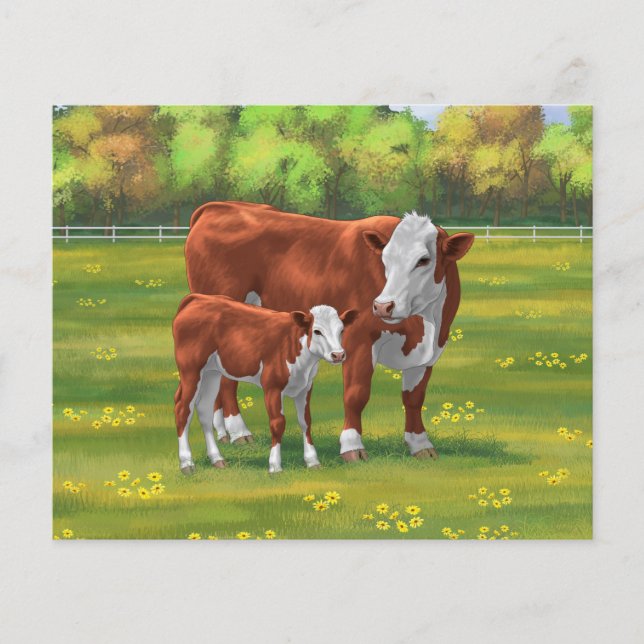 Hereford-Koe en Cute Calf in zomerperiode (Voorkant)
