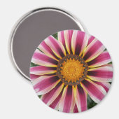 Hereford Magneet (Voorkant / Achterkant)