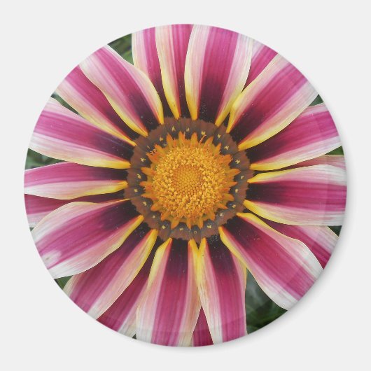 Hereford Magneet (Voorkant)