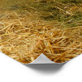 hereford poster (Hoek)