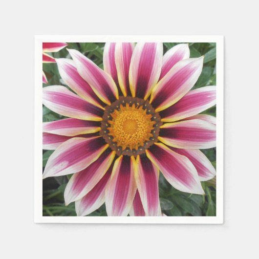 Hereford Servet (Voorkant)