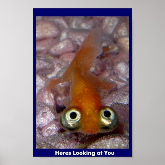 Heres Looking at You Poster (Voorkant)
