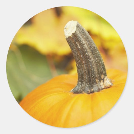 Herfsontwerp Ronde Sticker (Voorkant)