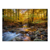 Herfst (Voorkant Horizontaal)