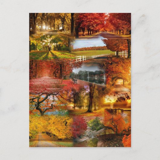 herfst 1 briefkaart (Voorkant)