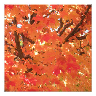 Herfst 1 foto afdruk