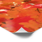 Herfst 1 perfect poster (Hoek)