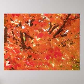 Herfst 1 poster