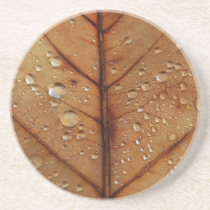 Herfst Achteruitrijder Zandsteen Onderzetter