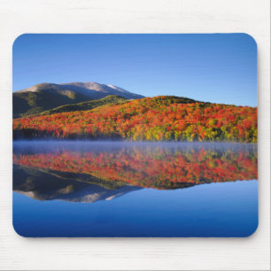 Herfst Adirondack Mountains New York Muismat
