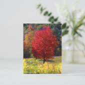 Herfst Afbeeldingen Briefkaart (Staand voorkant)