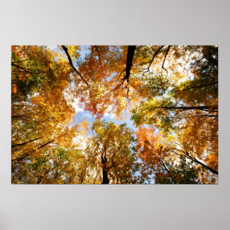 Herfst-afdruk Poster