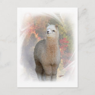 Herfst Alpaca Briefkaart