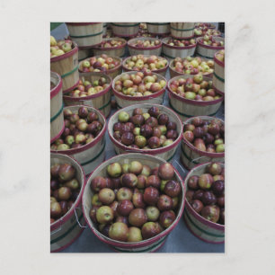 Herfst appels briefkaart