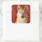 Herfst Arctic Wolf Stickers (Tas)