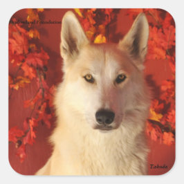 Herfst Arctic Wolf Stickers